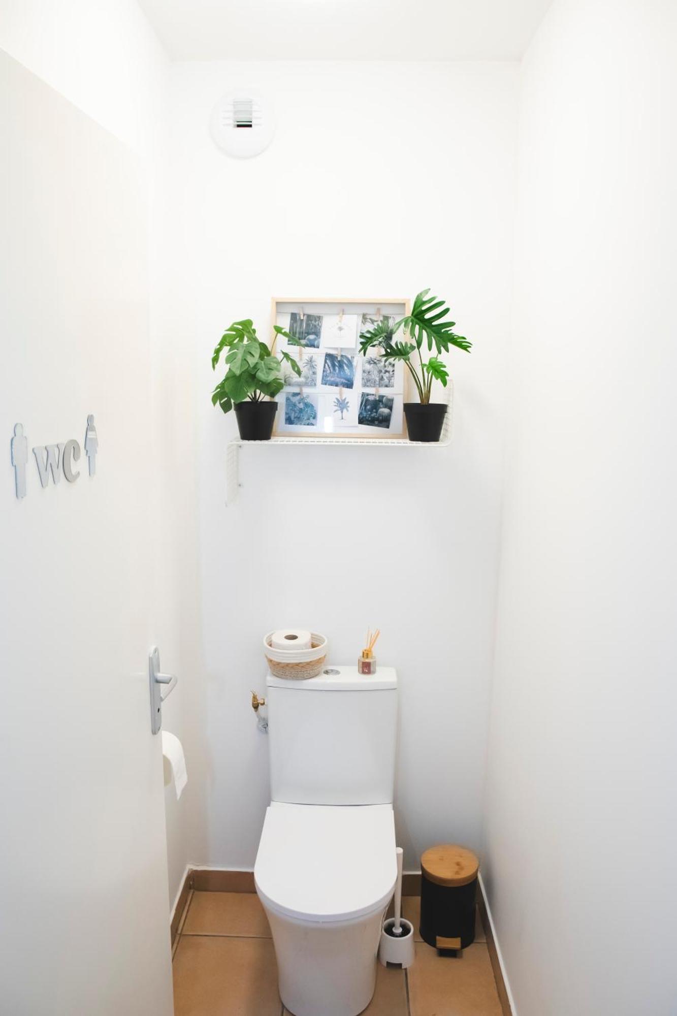 Apartmán Le Cocon Cosy - T2 - Parking - Proche Zoo La Salvetat Exteriér fotografie